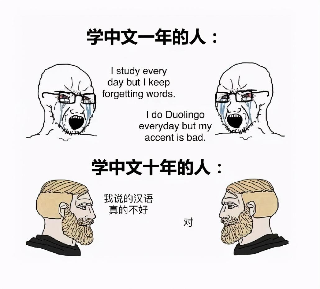 学外语的梗动图_学英语梗_学外语梗