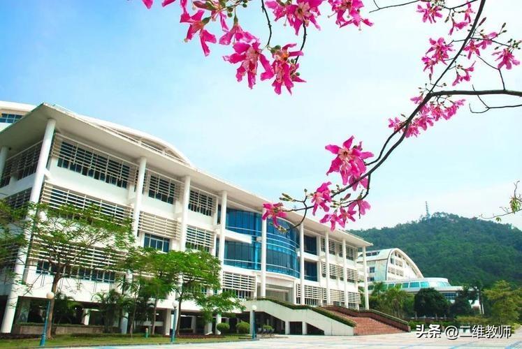 英语专业的排名_英语专业排名较强的大学_英语专业排名