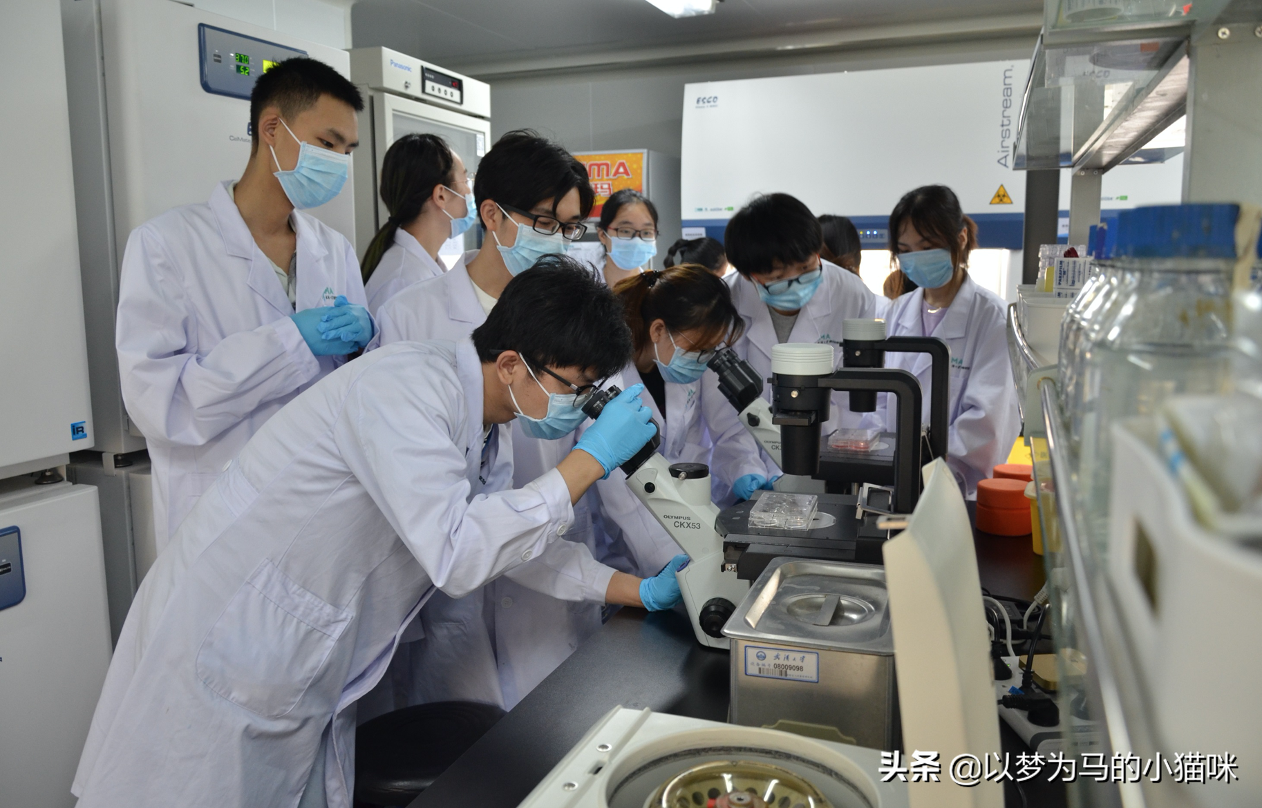 英语专业排名_英语专业排名大学排名_英语专业排名靠前的大学