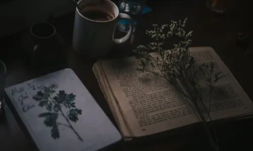 考商务英语证书的要求_报考商务证书英语要过几级_商务英语证书报考