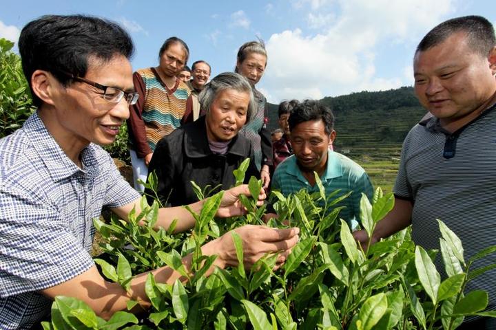 宁波成人学英语口语_宁波成人英语_宁波成人英语培训机构