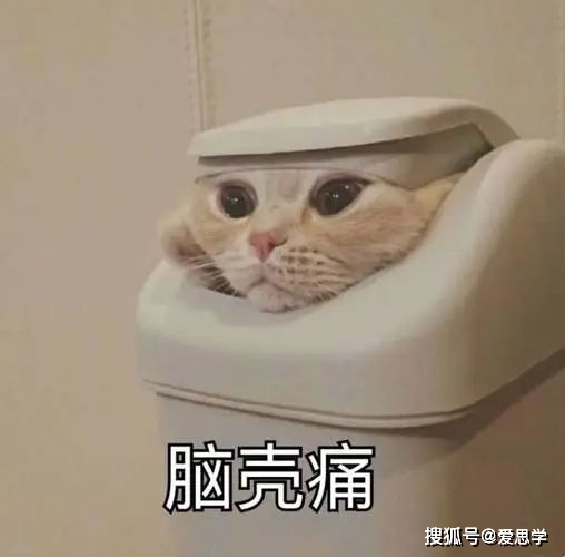 雅思英语级别多少_雅思英语级别怎么考_雅思6.0相当于英语几级