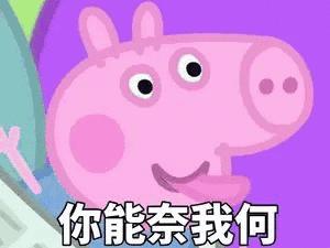 看小猪佩奇学英语_看小猪佩琪学英语_播放小猪佩奇学英语