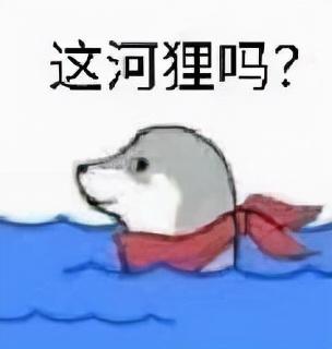 英语专升本基础单词_英语专升本基础词汇_英语零基础怎么专升本