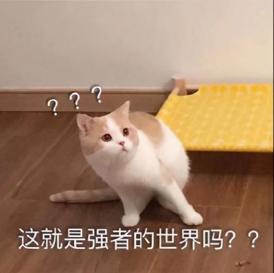 商务英语初入职场_商务英语初入职场_商务英语初入职场教材pdf