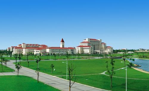 学英语的收获英语作文_学英语的收获和感受英语作文_学习英语的收获