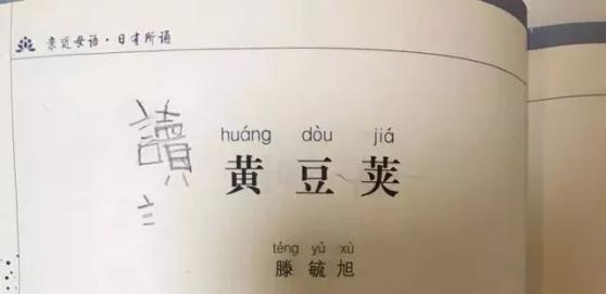 开始学英语的英文怎么写_开始英语学校怎么样收费是多少_从头开始学英语