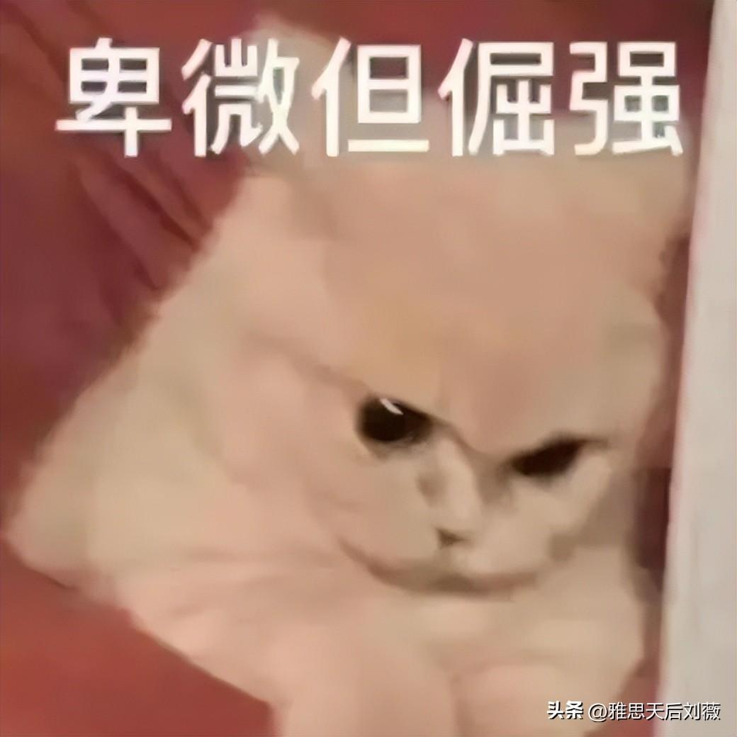 雅思口语报班价格_雅思口语班一般多少钱_雅思口语课价格