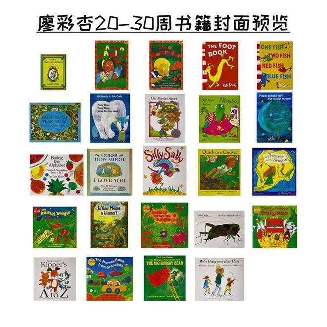 英语学习书籍_英语的书籍_书籍英语