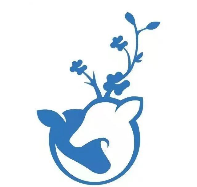 英语基础语法_语法英语基础知识_英语语法基础通俗易懂