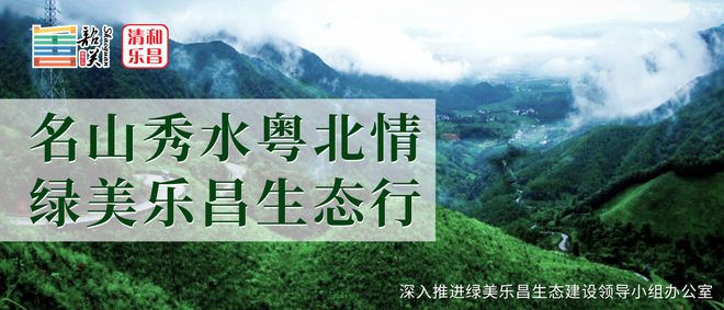 商务英语在线外教_商务英语网_在线商务英语