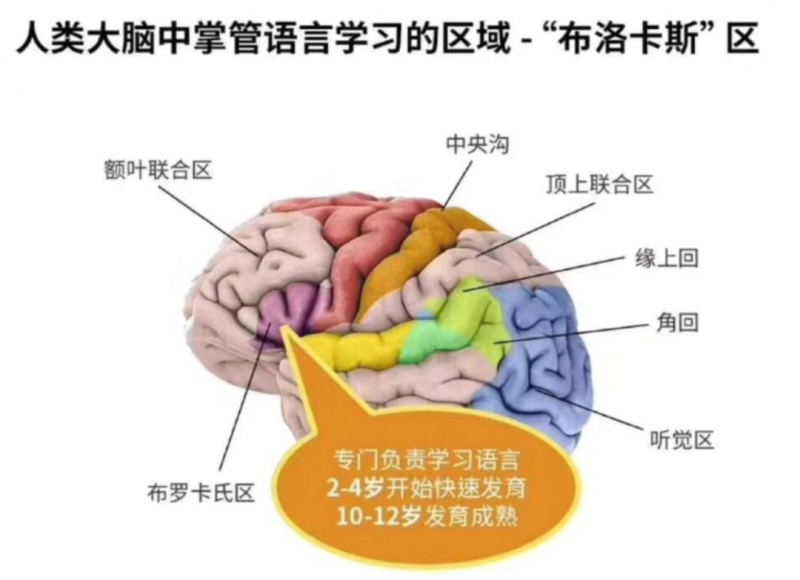 英语如何有效学_英语怎么样学才快有效_学英语最快最有效的方法