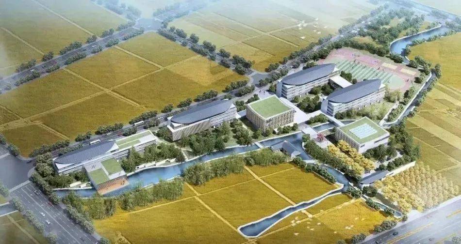 上海世外教育集团_上海集团教育世外班怎么样_上海世外教育集团总裁