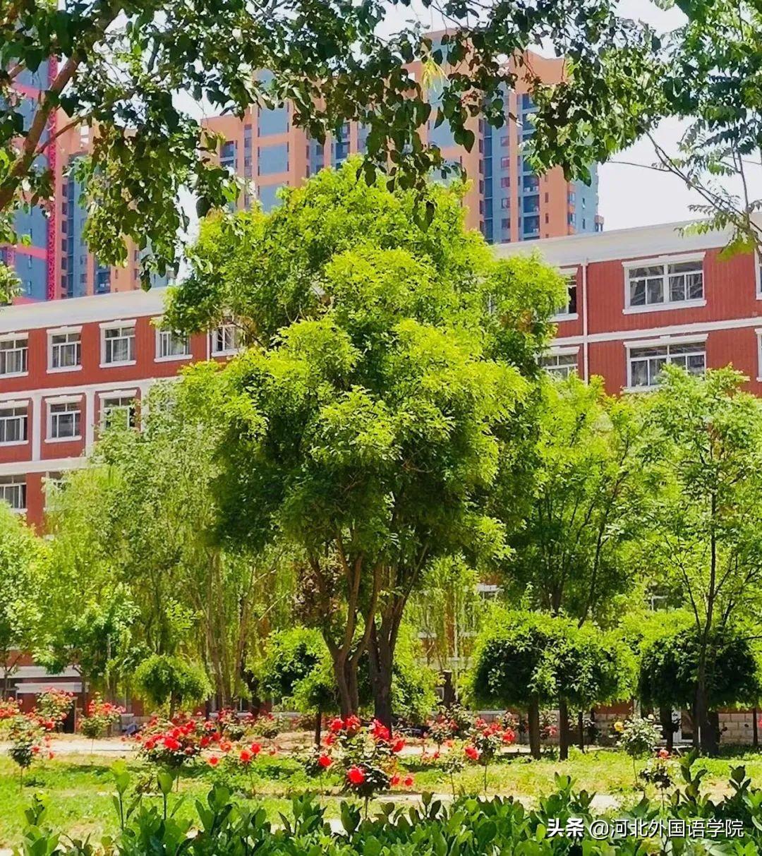 邢台外语_邢台外教一对一_邢台外国语学校