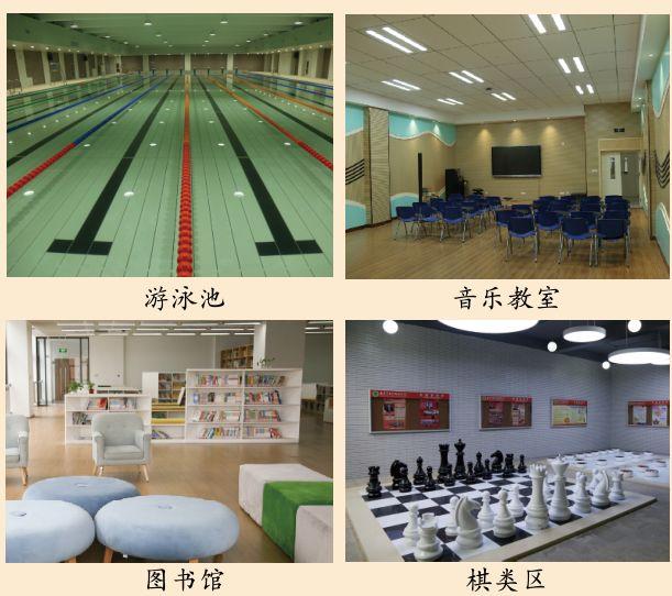 班级导师制英语分班上！河西南外高中部最新招生信息来了