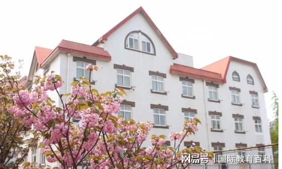 每天外教交流半个小时的钱_每天外教多少钱一小时_每天一对一外教