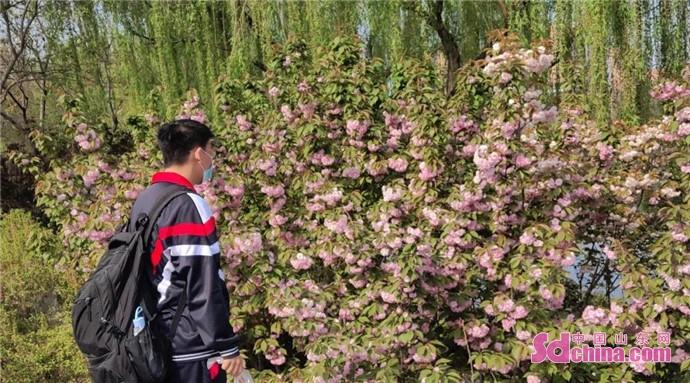 丹阳外教英语培训_丹阳外教英语口语辅导班_丹阳一对一外教