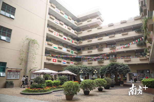 深圳外教_深圳外教与大学生_深圳一对一外教哪里好啊