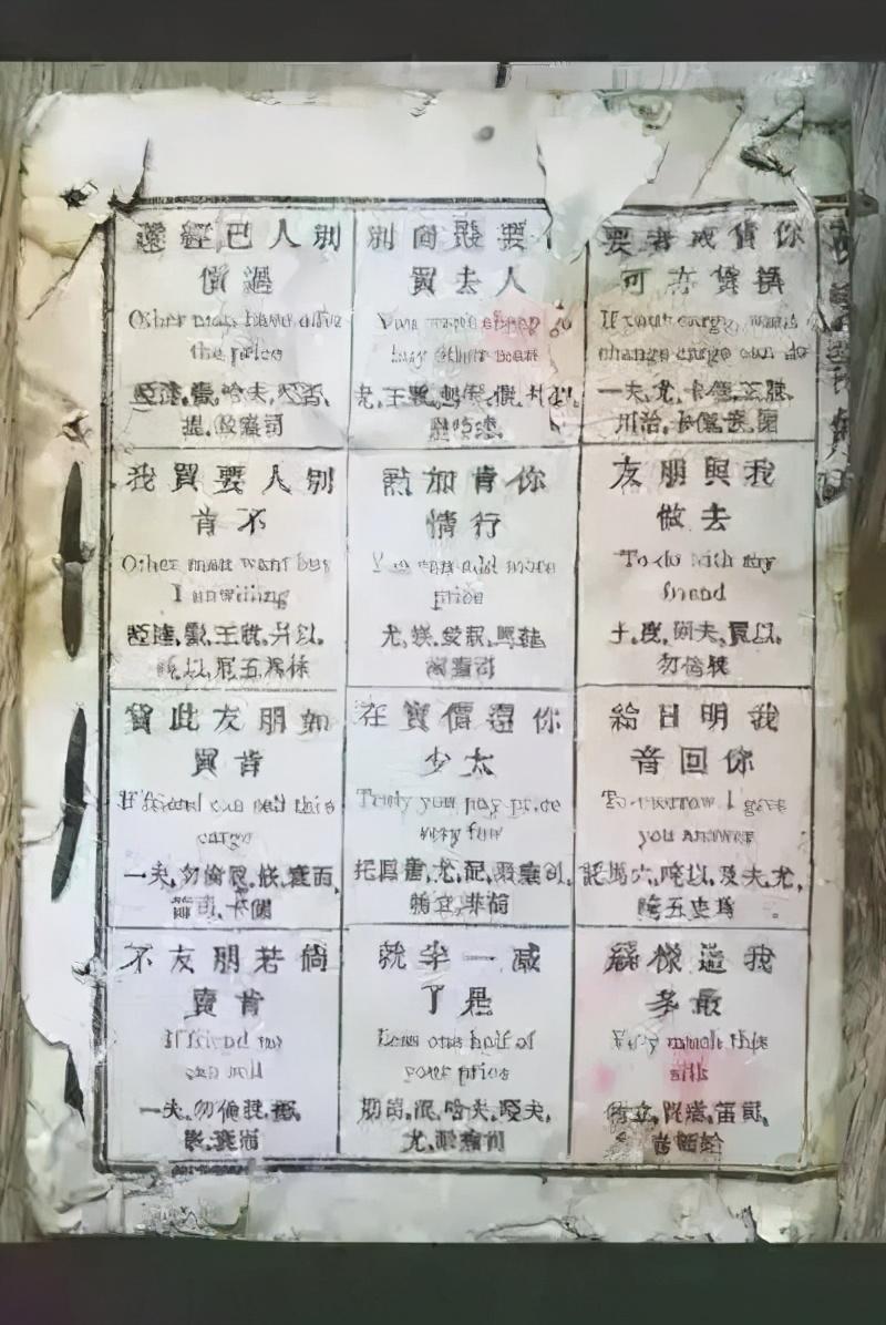 豆芽外教口语一对一_播放豆芽的英文_豆芽的英语翻译