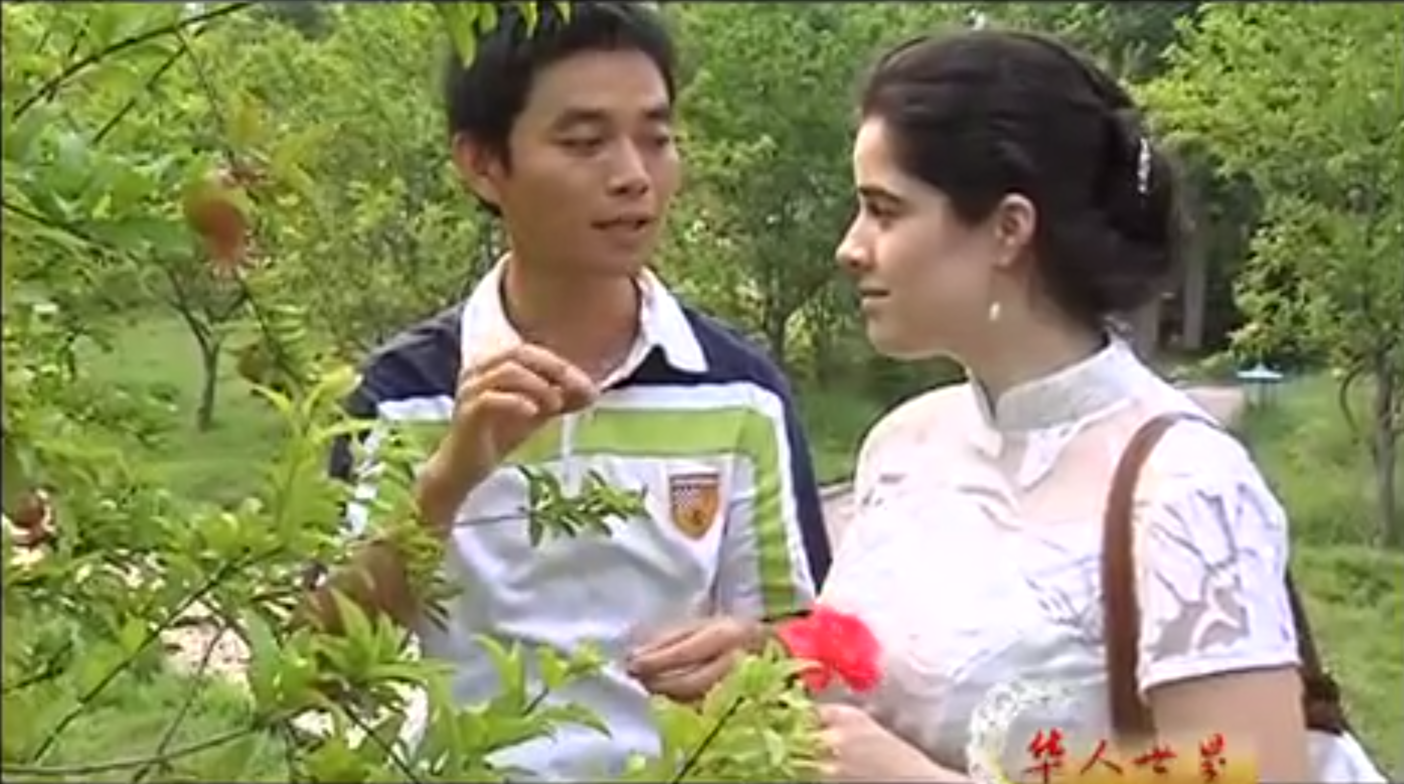 火花外教一对一_火花英语课怎么样_火花l2课程