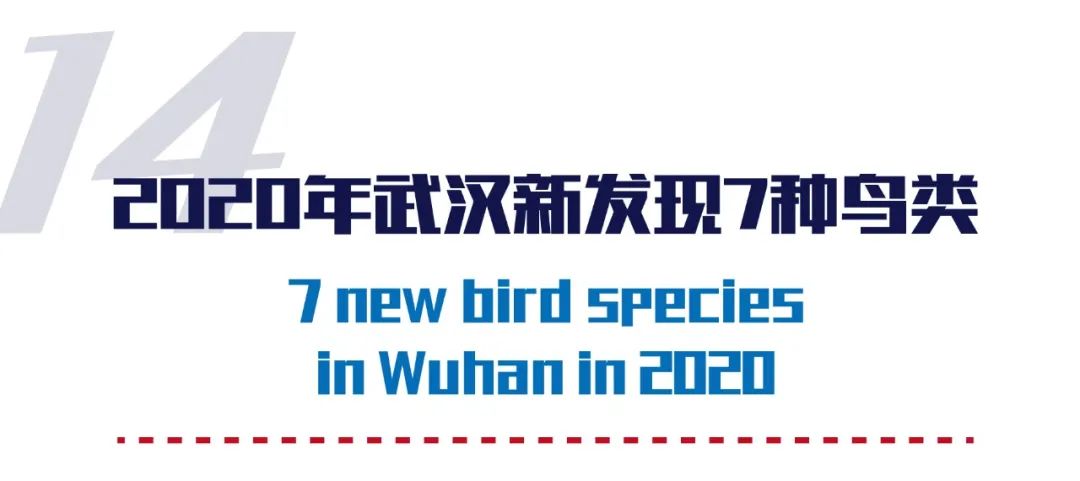 仙桃外语学校_仙桃最好的英语培训学校_仙桃外教一对一