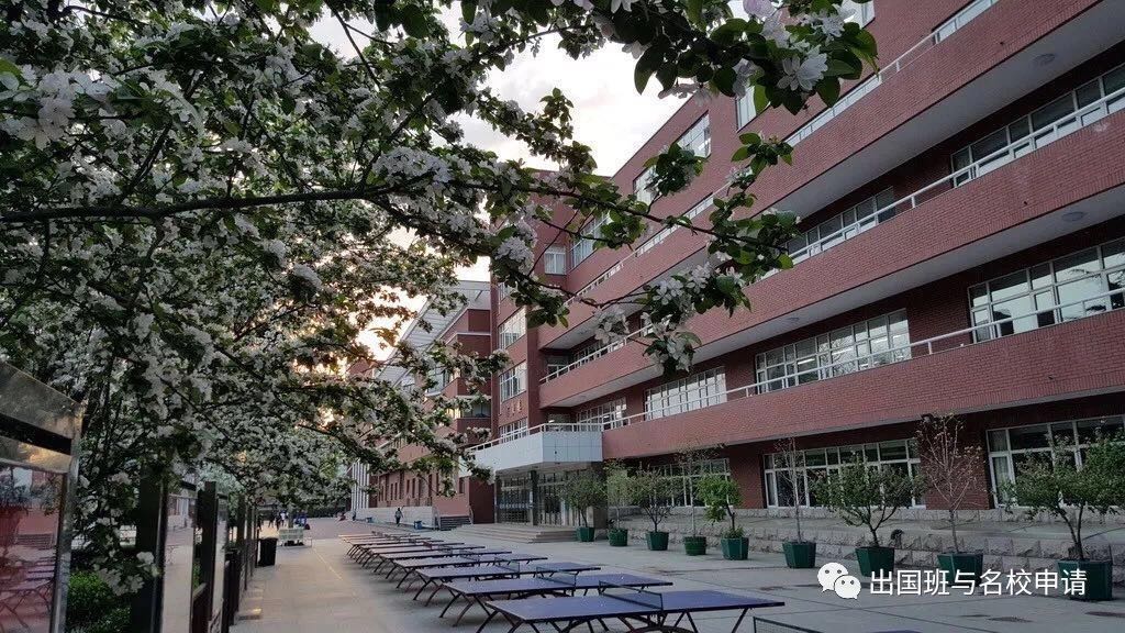 名校外语联合外语小学_英语名校课堂多少钱_名校英语外教一对一怎么样