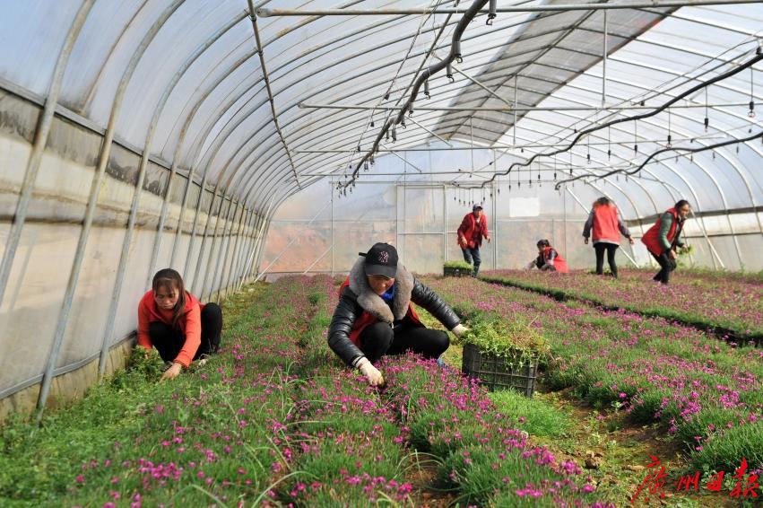 广州外教老师_外教广州找老师电话_广州找外教老师一对一