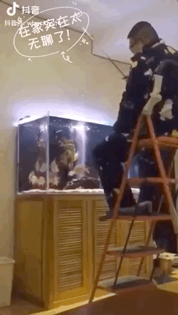 启蒙在线外教英语怎么说_启蒙英语免费_外教一对一在线英语启蒙