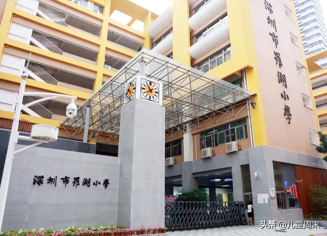 罗湖外语学校十个真相_罗湖一对一外教_罗湖外国学校