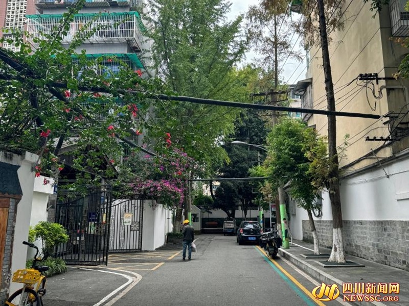 专业的外教一对一_外教专业学什么_外教专业课听不么懂怎么办