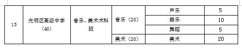 深圳龙岗外国语教育集团_深圳龙岗一对一外教_龙岗外教英语
