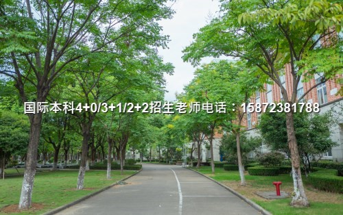 网上英语外教课程_外教英语一对一网络课程_外教英语课程网上实况
