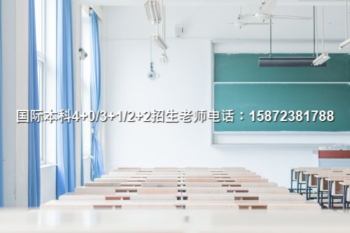雅思线上外教一对一多少钱_雅思培训外教_雅思在线外教一对一