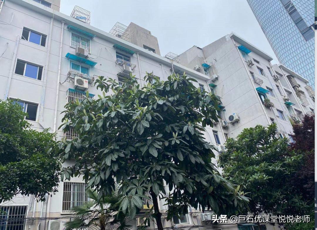 口语外教有用吗_外教口语一对一有用吗南京_南京外教一对一口语