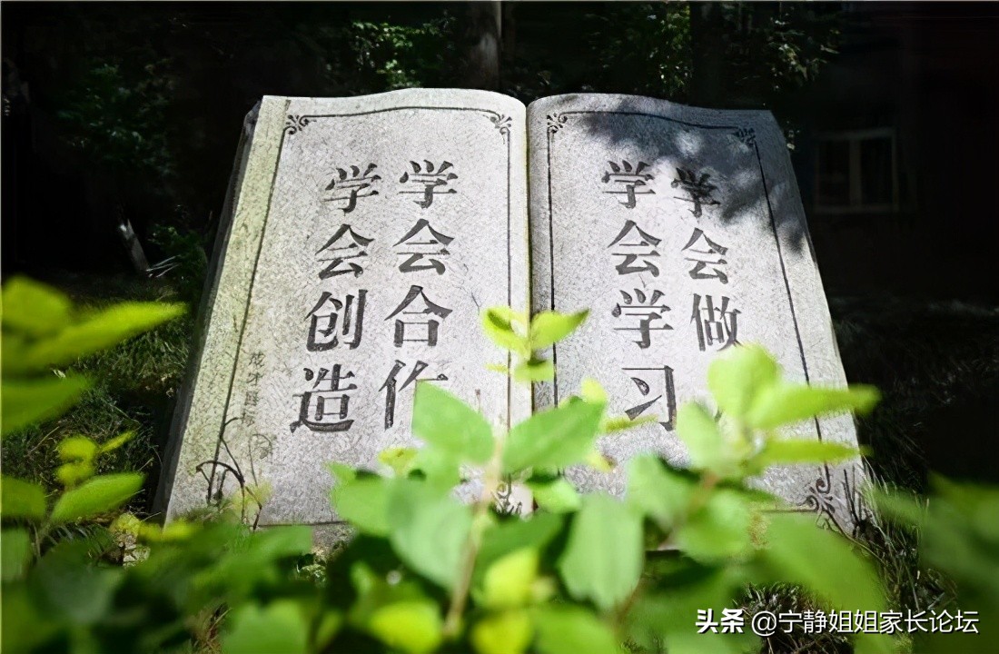 成都外教老师工资多少_成都哪个外教一对一老师好_成都外教好老师名单