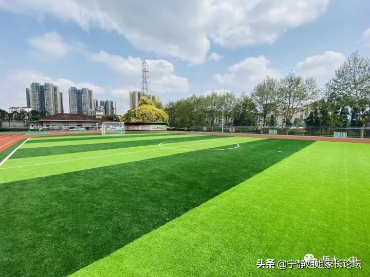 成都哪个外教一对一老师好_成都外教老师工资多少_成都外教好老师名单