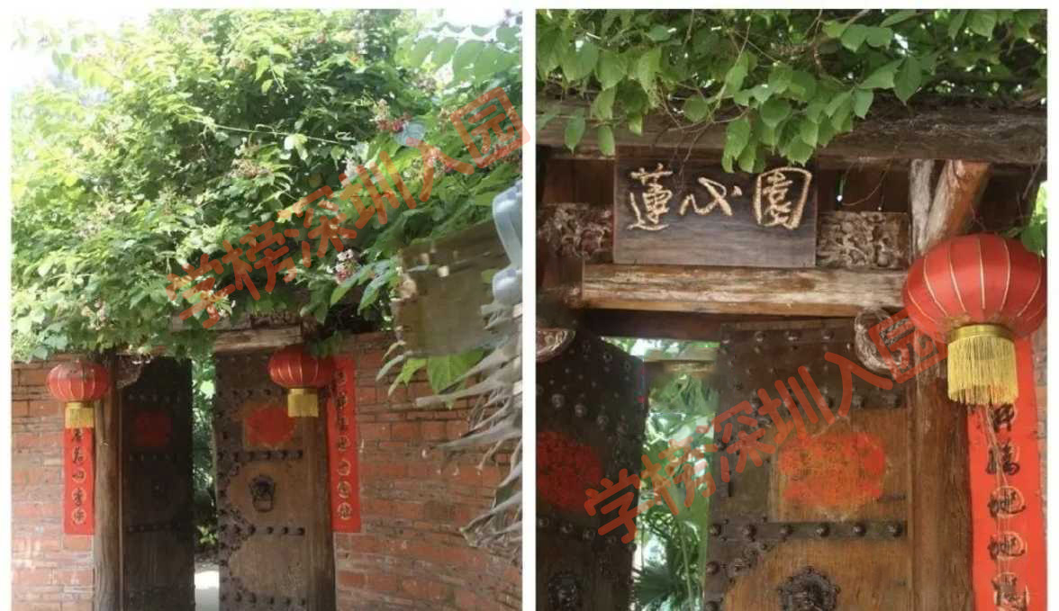 培训南山外教的学校_南山外教一对一培训_南山区外教英语培训