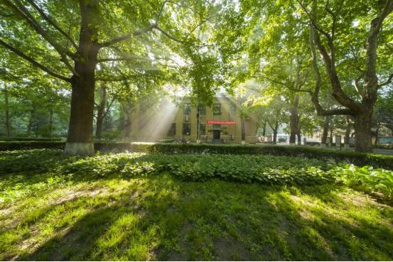 北京语言大学出国外语培训_北京语言大学外教 一对一_北京外国语大学语言培训班