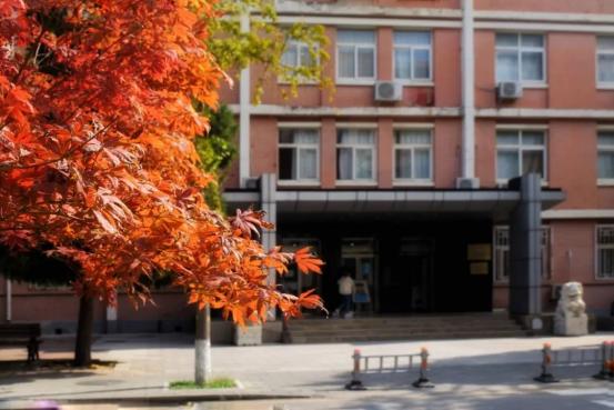 北京语言大学出国外语培训_北京语言大学外教 一对一_北京外国语大学语言培训班