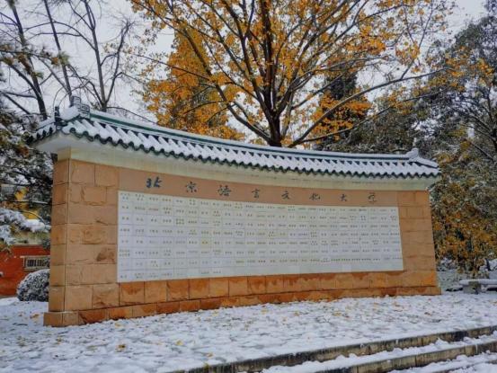 北京语言大学外教 一对一_北京外国语大学语言培训班_北京语言大学出国外语培训
