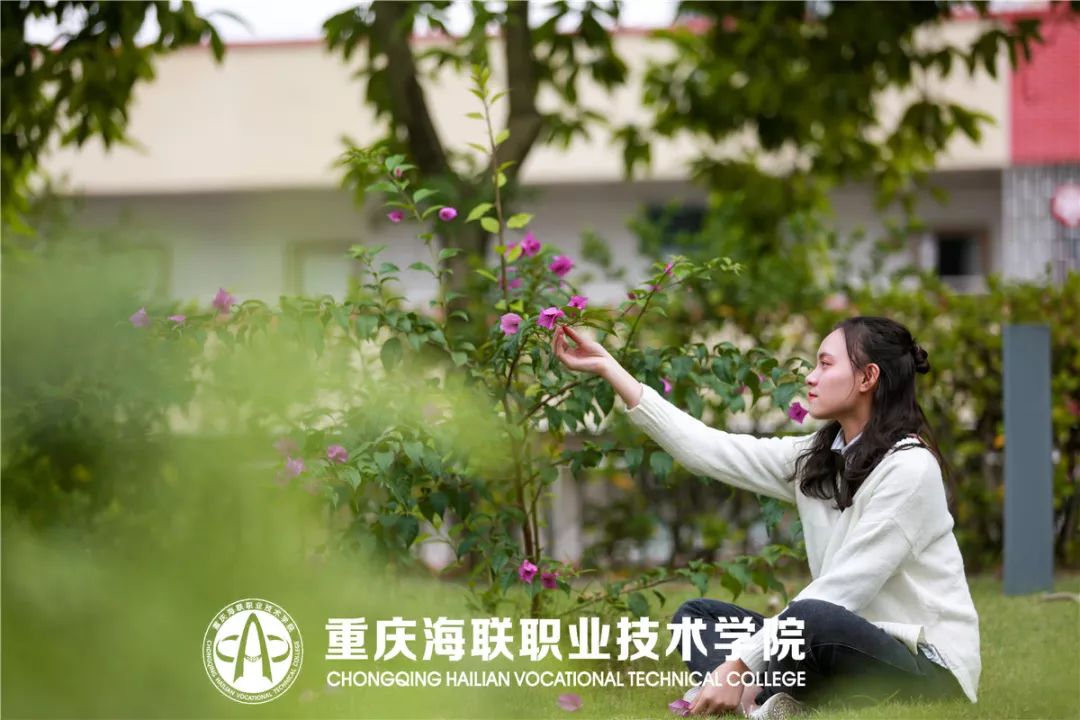 重庆的外教英语_重庆外教英语家教一对一_英语外教一对一重庆