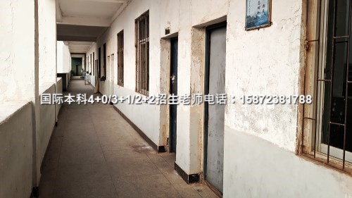 大连英语外教收费标准_大连外教英语学校哪家好_大连学英语外教一对一