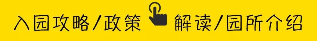深圳欧美外教一对一哪里好_深圳欧美公学国际教育_深圳欧美公学怎么样