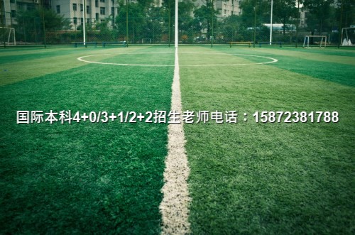 外教商务英语_一对一 外教 商务_商务外语