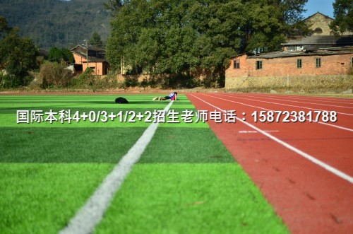 一对一 外教 商务_商务外语_外教商务英语