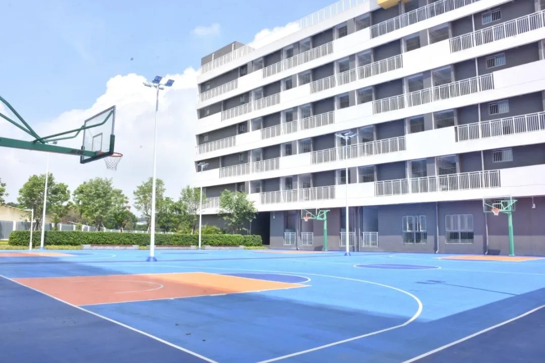 狮山外教老师一对一_狮山高级中学老师_娄底外语老师外教