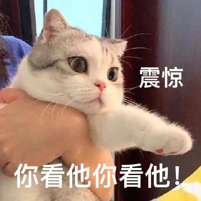 合适外教线学上课的软件_合适外教线学上英语吗_线上外教一对一几岁学合适