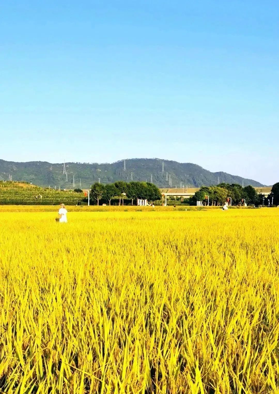 光明随心订价格_光明一对一外教价格_光明外教价格怎么样
