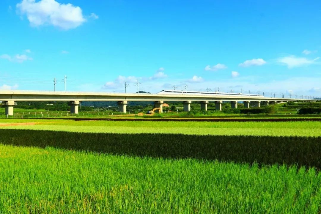 光明外教价格怎么样_光明随心订价格_光明一对一外教价格