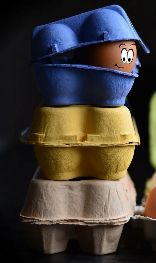 光明一对一外教价格_光明随心订价格_光明外教价格怎么样
